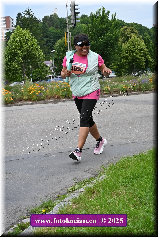 Náhled obrázku: 2025-4198-Zlin-3056.JPG