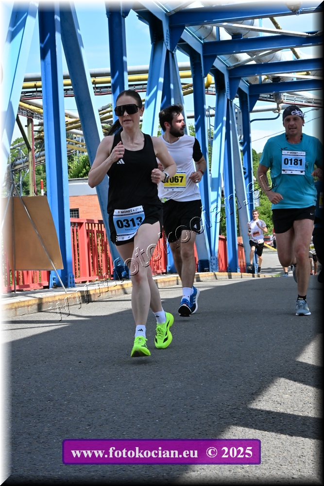 Náhled obrázku: 2025-1373-Zlin-313,1067,181.JPG