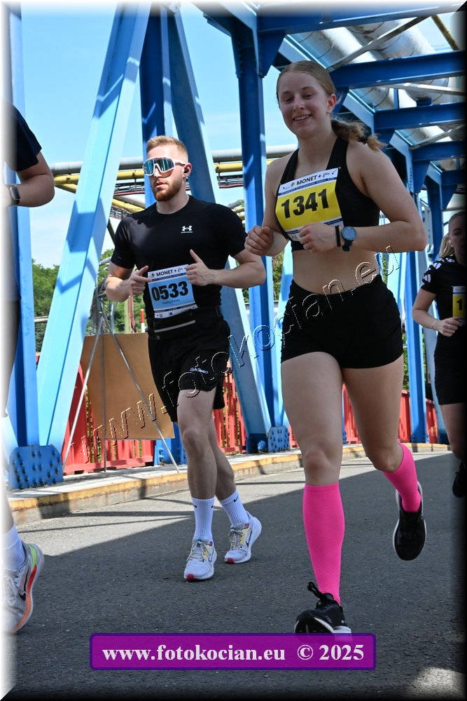 Náhled obrázku: 2025-1435-Zlin-533,1341.JPG