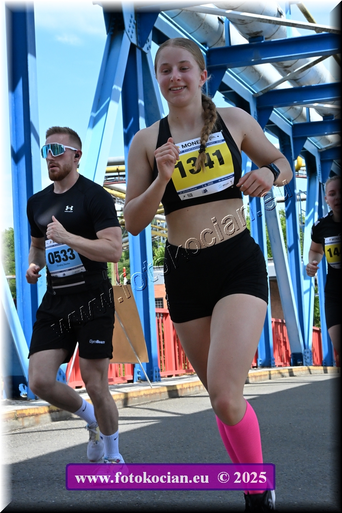 Náhled obrázku: 2025-1436-Zlin-533,1341.JPG