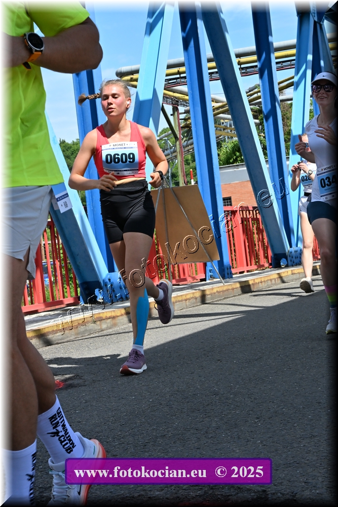 Náhled obrázku: 2025-1646-Zlin-609.JPG