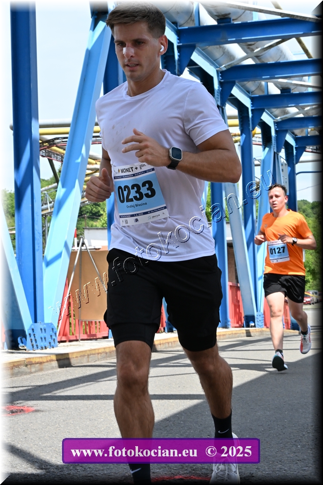 Náhled obrázku: 2025-2655-Zlin-233.JPG