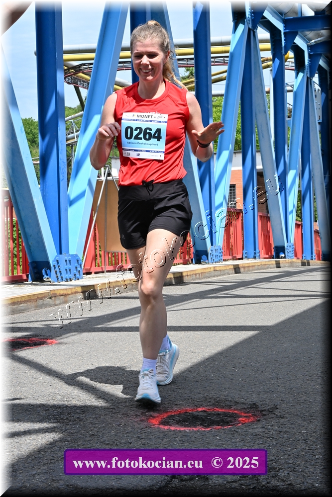 Náhled obrázku: 2025-2875-Zlin-264.JPG