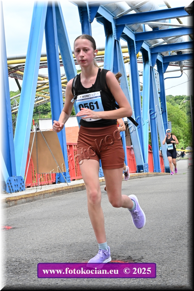 Náhled obrázku: 2025-3170-Zlin-561.JPG