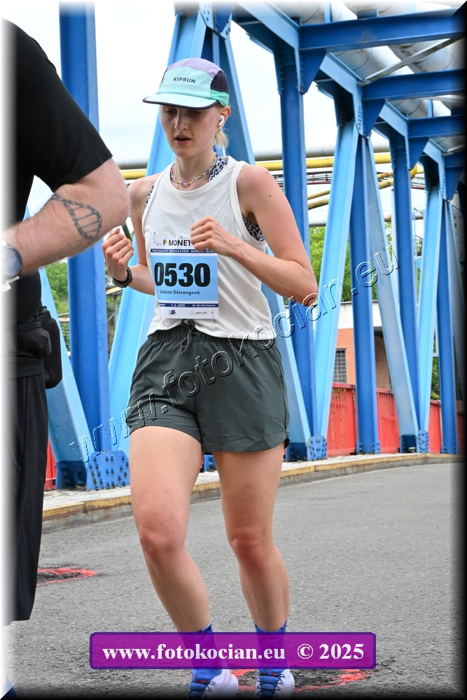 Náhled obrázku: 2025-3564-Zlin-530.JPG