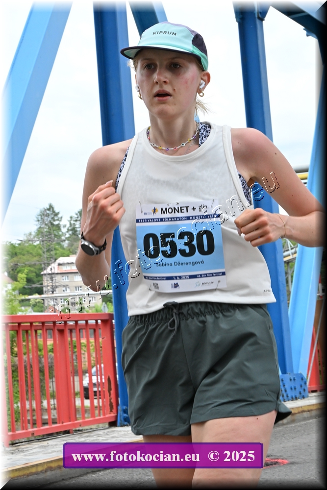 Náhled obrázku: 2025-3565-Zlin-530.JPG