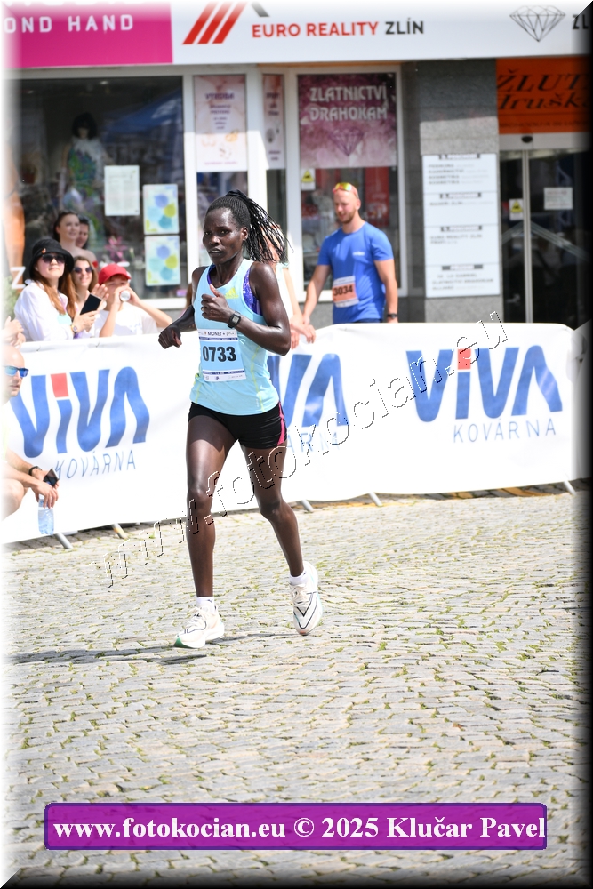 Náhled obrázku: 2025-5306-Zlin-733.JPG