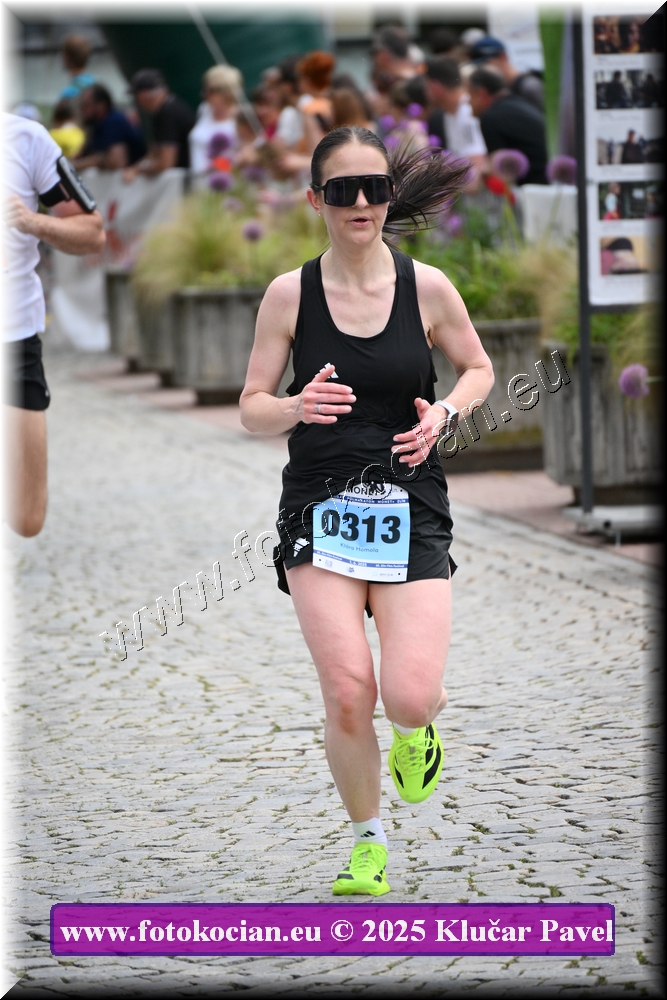 Náhled obrázku: 2025-6728-Zlin-313.JPG