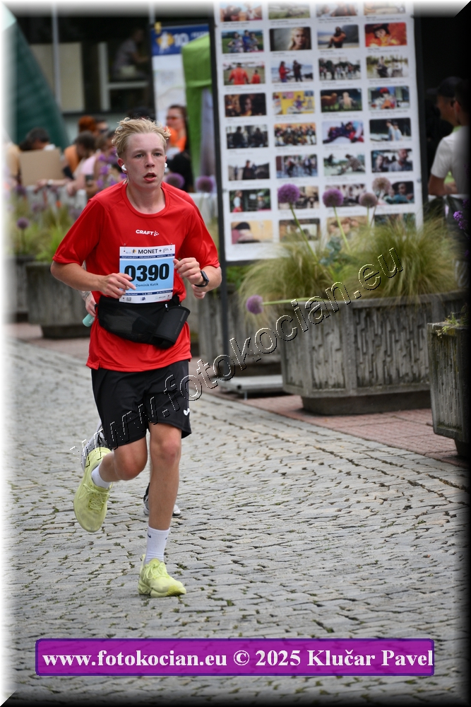 Náhled obrázku: 2025-7008-Zlin-390.JPG