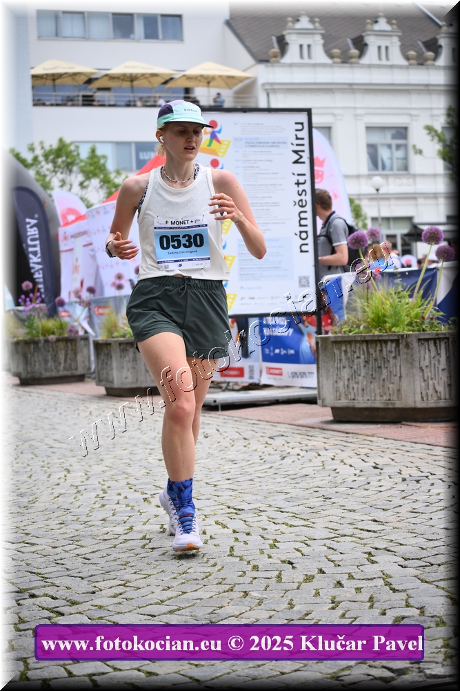 Náhled obrázku: 2025-7390-Zlin-530.JPG