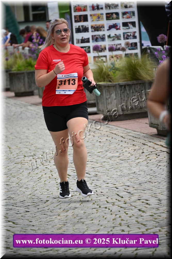 Náhled obrázku: 2025-7414-Zlin-3113.JPG