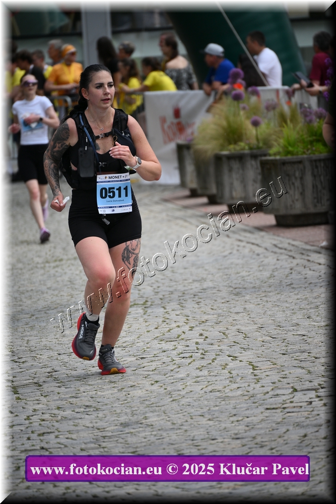 Náhled obrázku: 2025-7474-Zlin-511.JPG