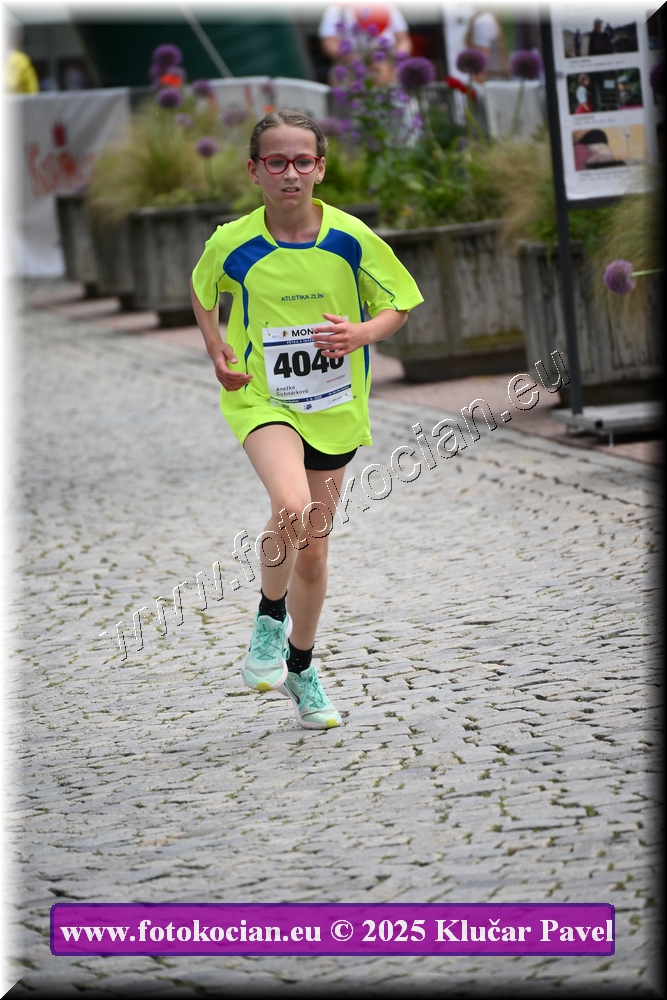 Náhled obrázku: 2025-7623-Zlin-4046.JPG