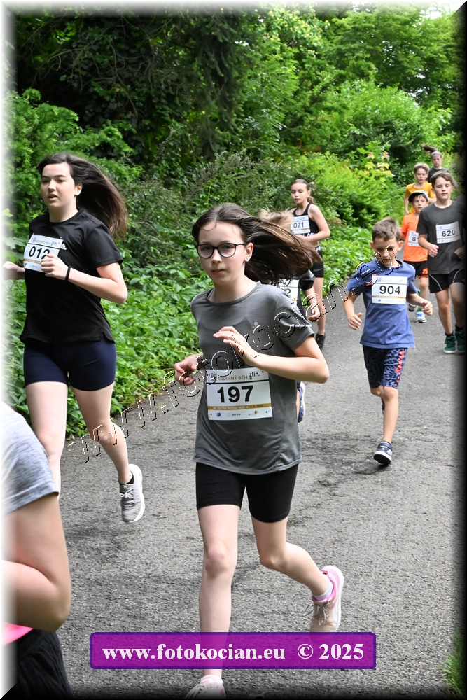 Náhled obrázku: 2025-4248-Zlin-.JPG