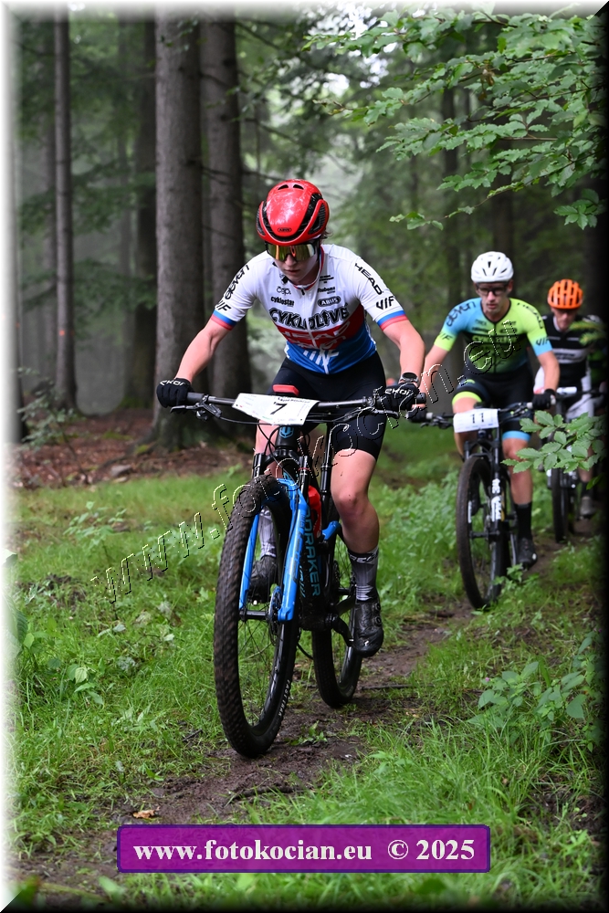 Náhled obrázku: 2025-1048-Podkrkonossky-7.JPG