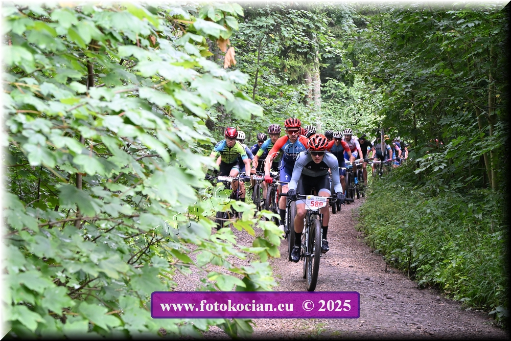 Náhled obrázku: 2025-1212-Podkrkonossky-589.JPG