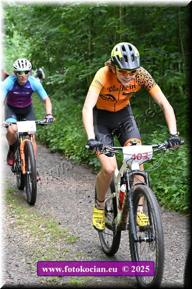 Náhled obrázku: 2025-1232-Podkrkonossky-403.JPG