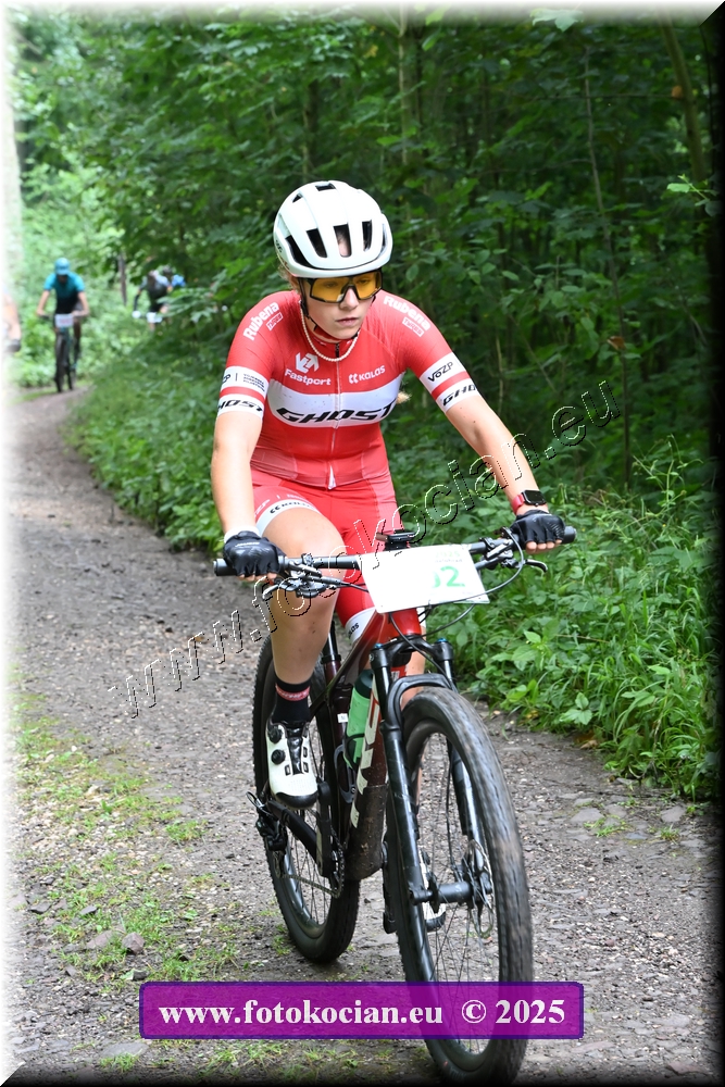 Náhled obrázku: 2025-1264-Podkrkonossky-0.JPG