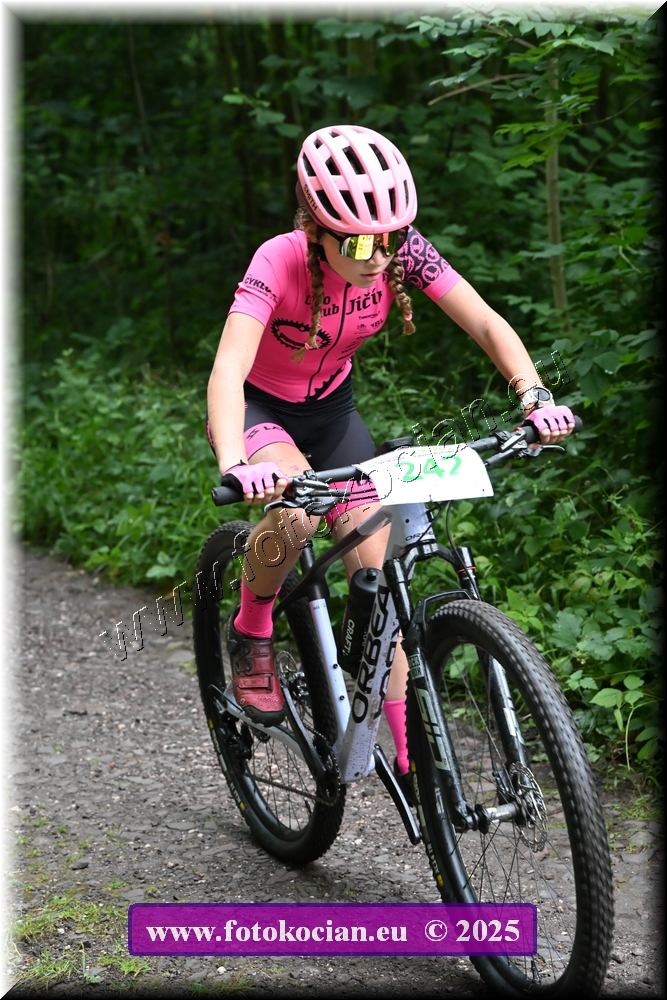 Náhled obrázku: 2025-1297-Podkrkonossky-242.JPG