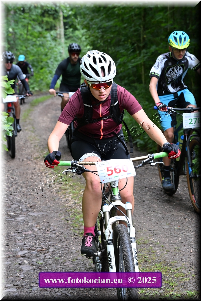 Náhled obrázku: 2025-1468-Podkrkonossky-560,278.JPG