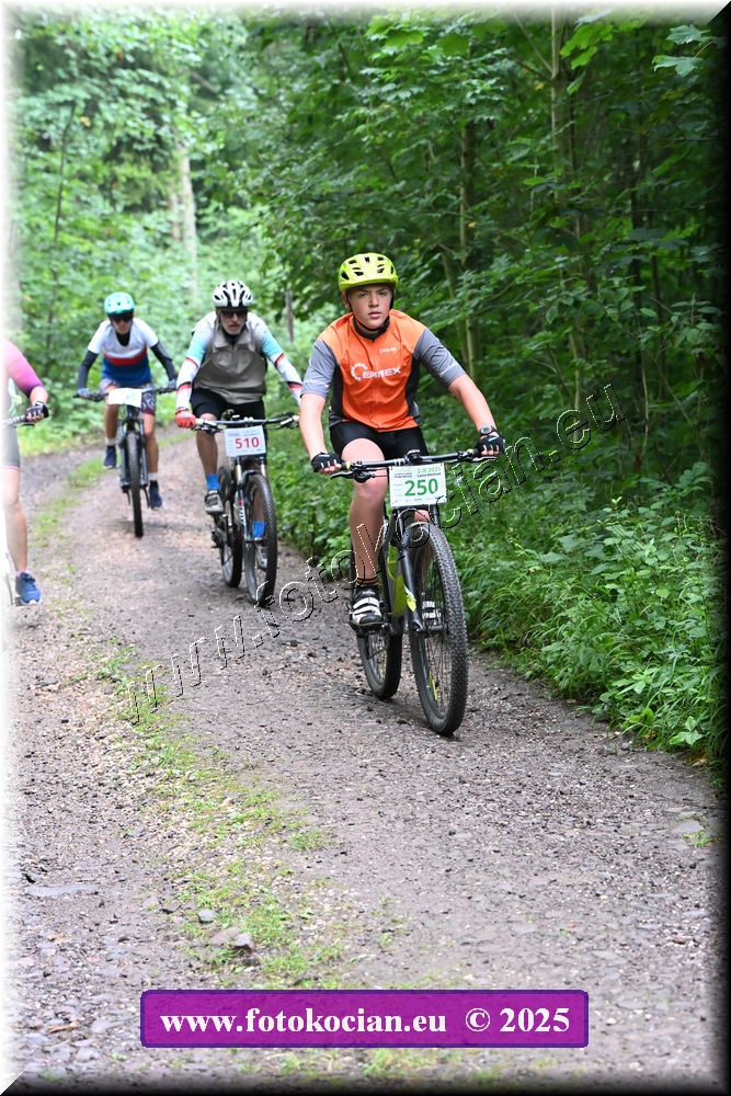 Náhled obrázku: 2025-1525-Podkrkonossky-250.JPG