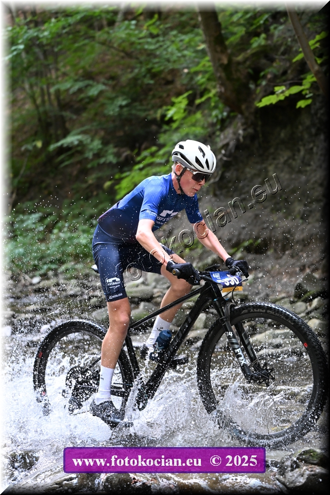 Náhled obrázku: 2025-1429-Celadna-550.JPG