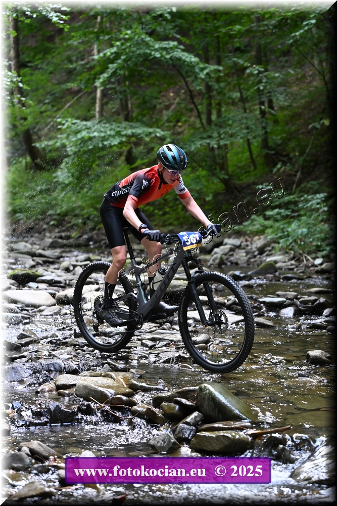 Náhled obrázku: 2025-1430-Celadna-567.JPG