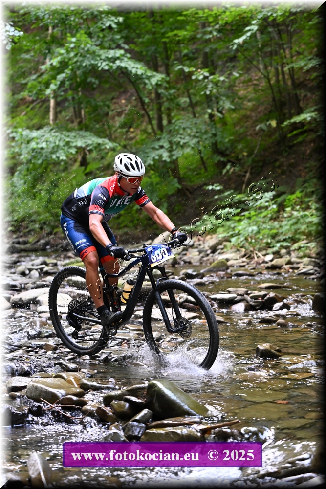 Náhled obrázku: 2025-1474-Celadna-600.JPG