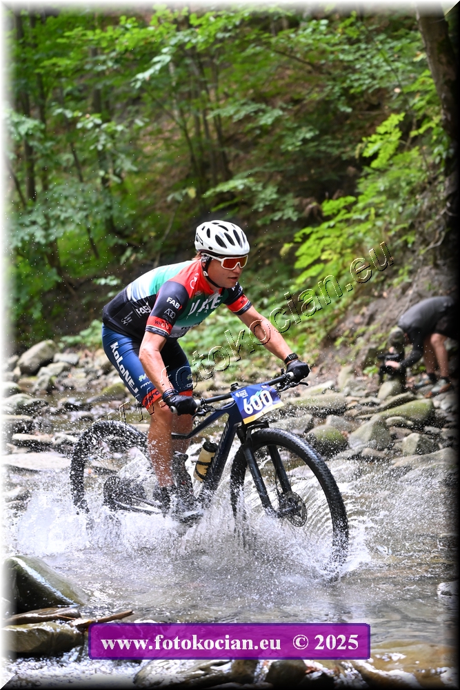 Náhled obrázku: 2025-1475-Celadna-600.JPG