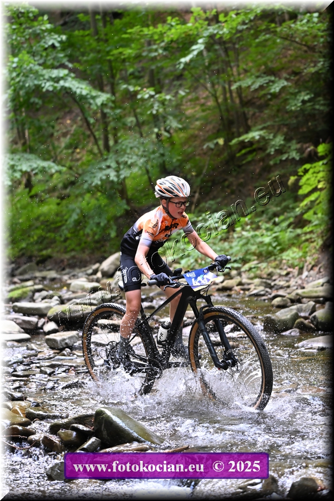 Náhled obrázku: 2025-1476-Celadna-411.JPG