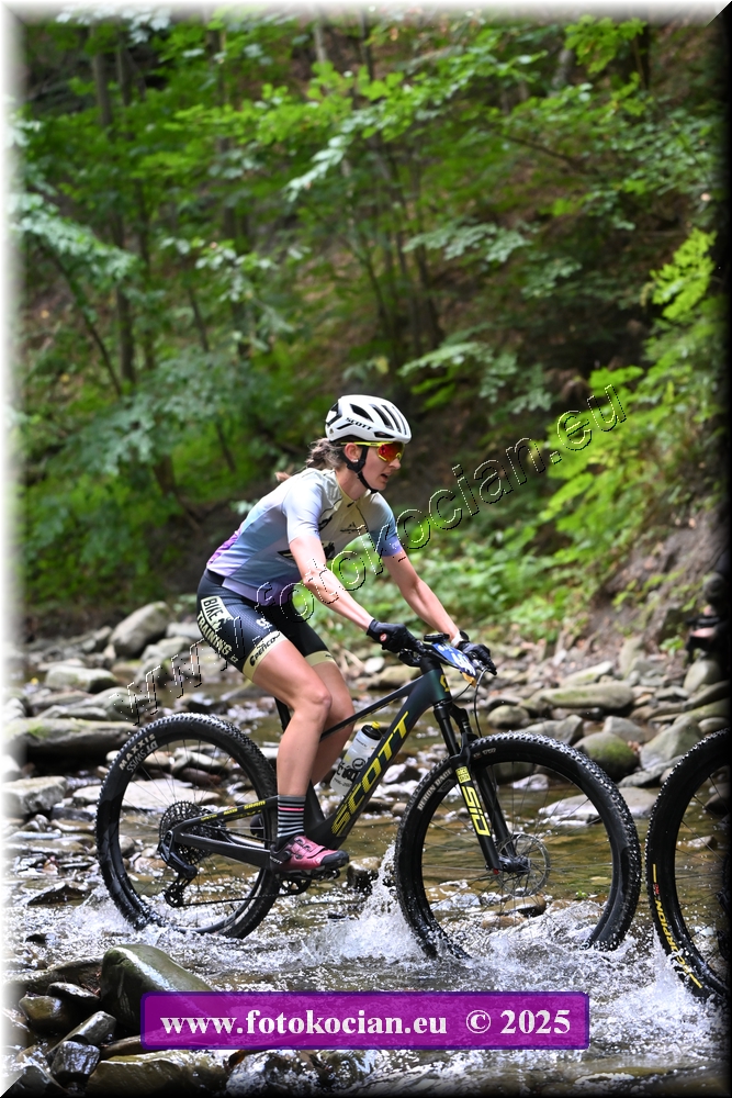 Náhled obrázku: 2025-1482-Celadna-0.JPG