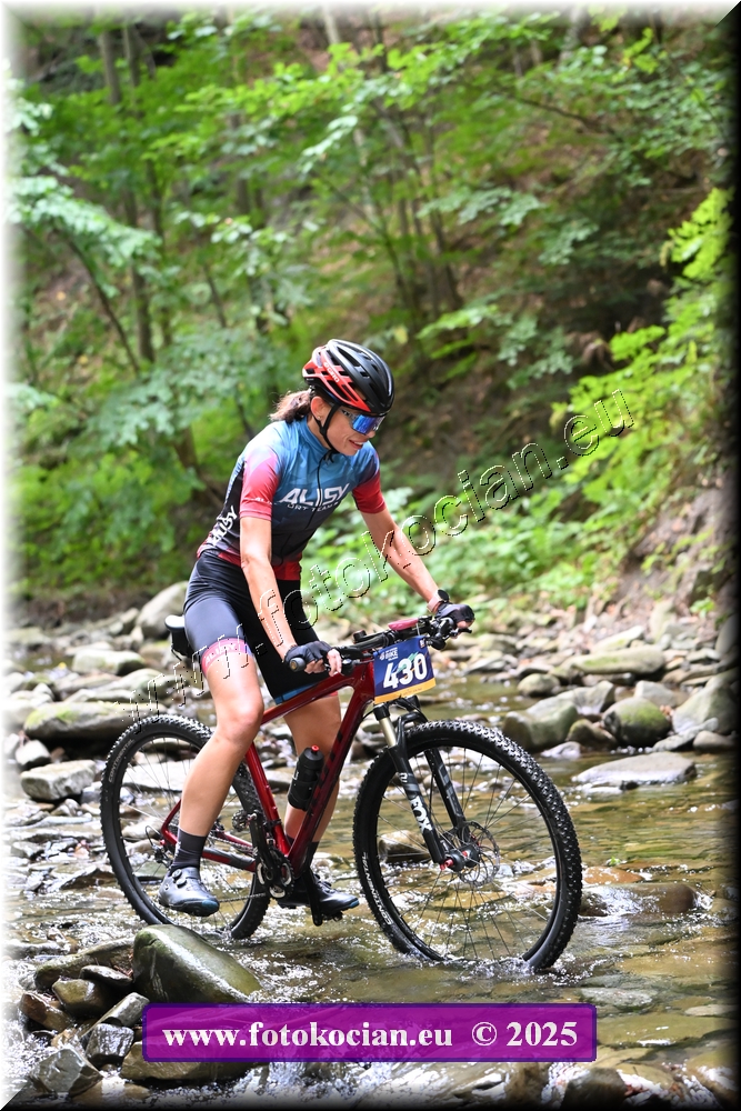 Náhled obrázku: 2025-1487-Celadna-430.JPG