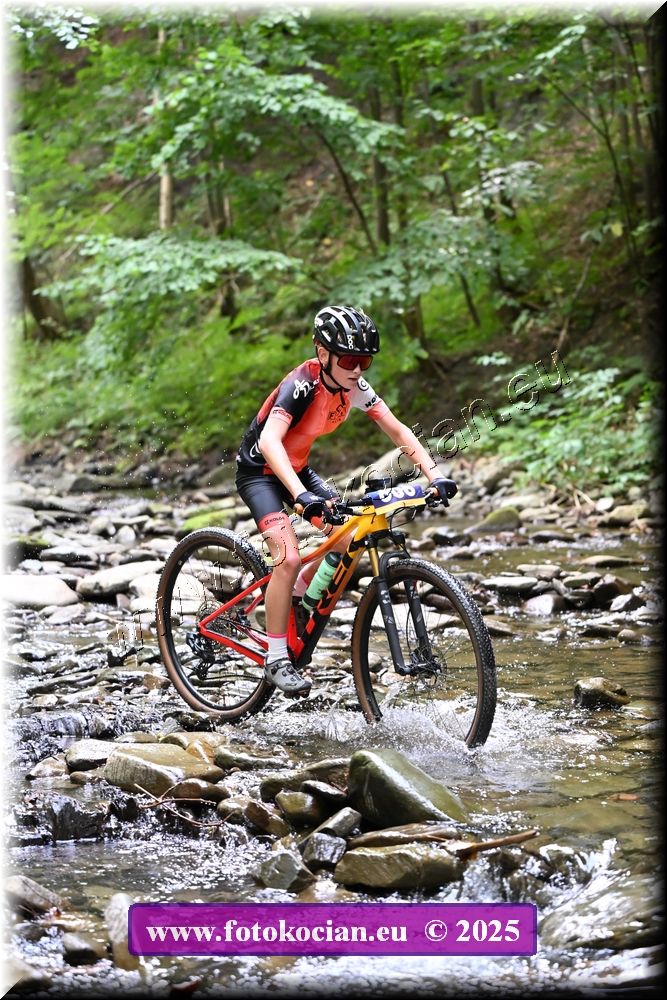 Náhled obrázku: 2025-1490-Celadna-606.JPG