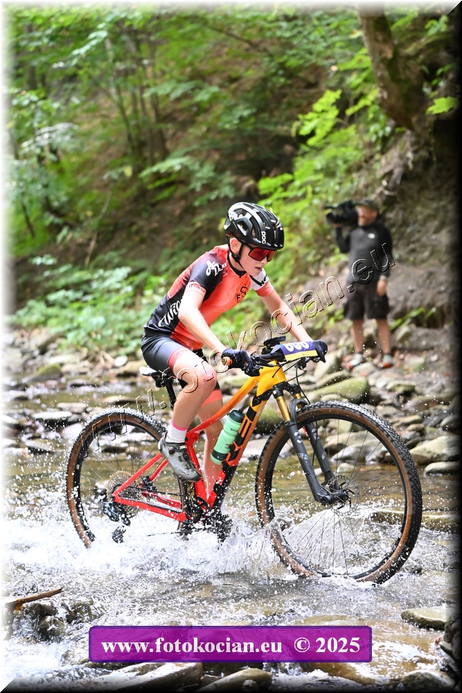 Náhled obrázku: 2025-1491-Celadna-606.JPG