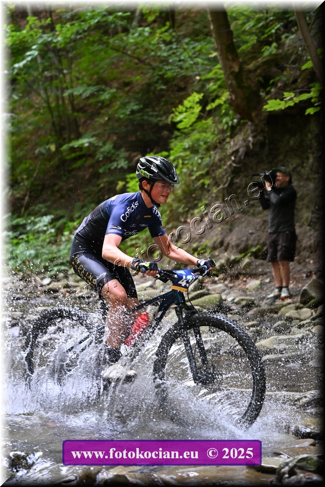 Náhled obrázku: 2025-1495-Celadna-431.JPG