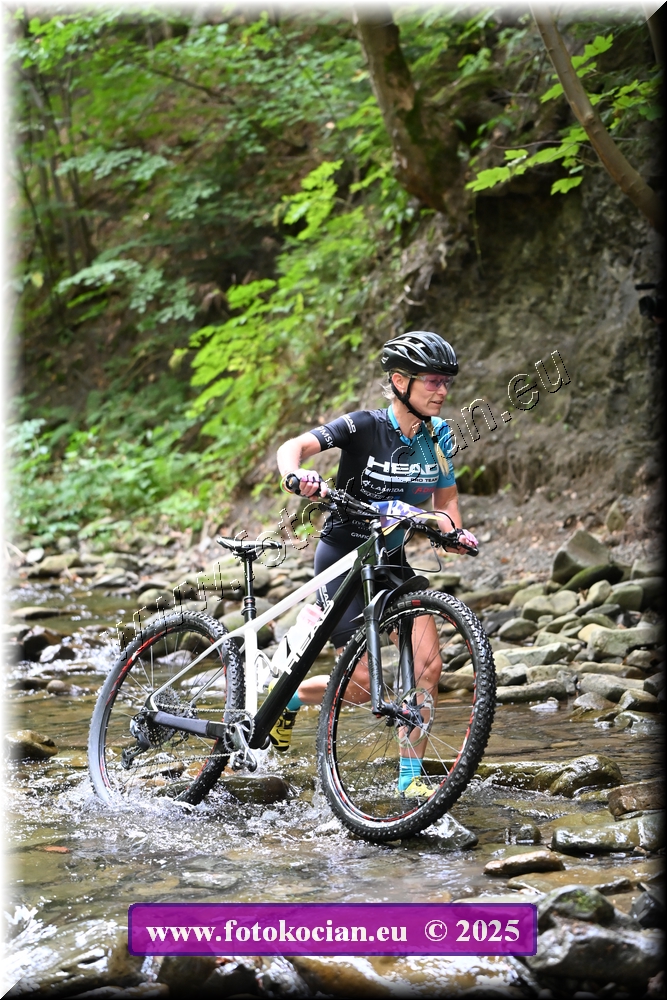 Náhled obrázku: 2025-1506-Celadna-0.JPG