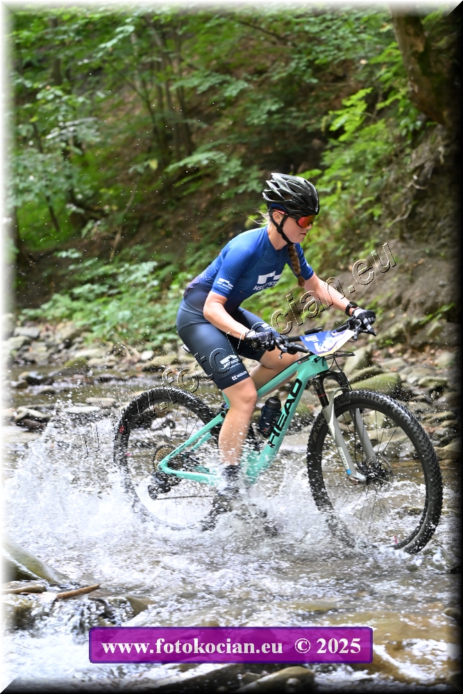 Náhled obrázku: 2025-1513-Celadna-0.JPG