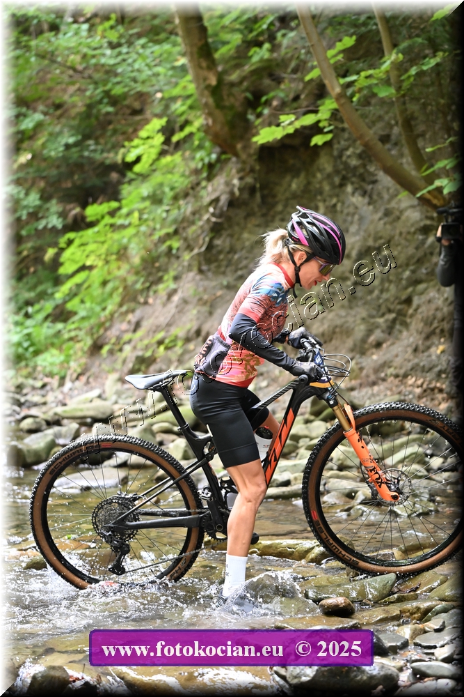 Náhled obrázku: 2025-1517-Celadna-0.JPG