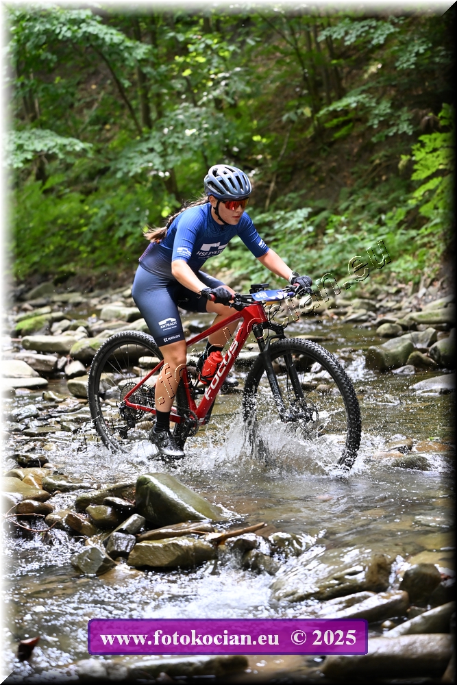 Náhled obrázku: 2025-1522-Celadna-0.JPG