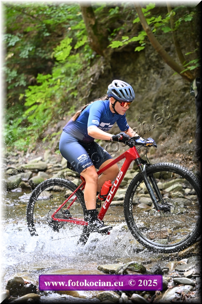 Náhled obrázku: 2025-1523-Celadna-0.JPG