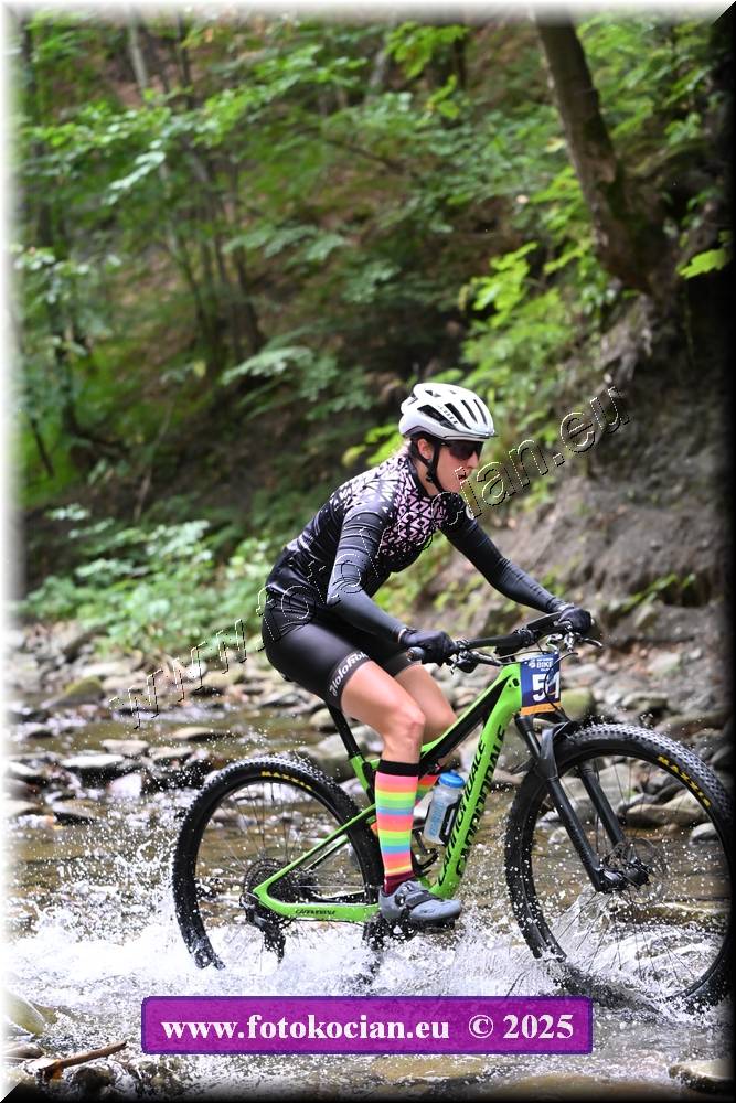 Náhled obrázku: 2025-1534-Celadna-0.JPG