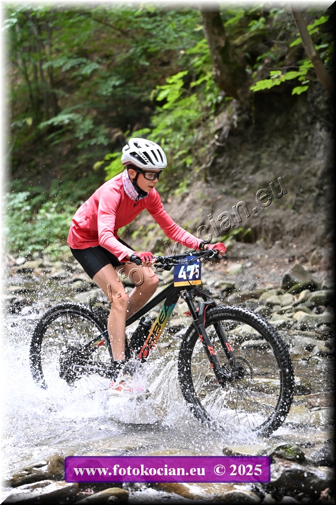 Náhled obrázku: 2025-1541-Celadna-475.JPG