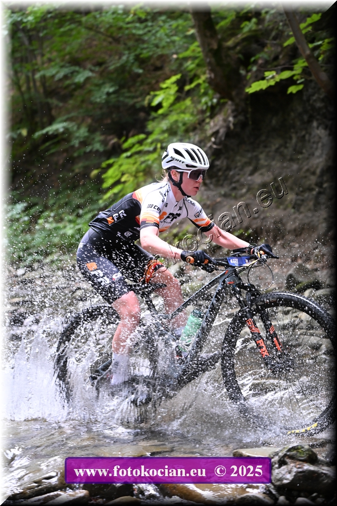 Náhled obrázku: 2025-1544-Celadna-0.JPG