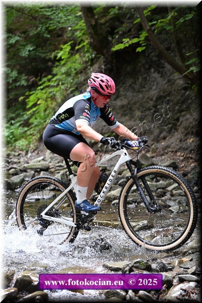 Náhled obrázku: 2025-1561-Celadna-512.JPG