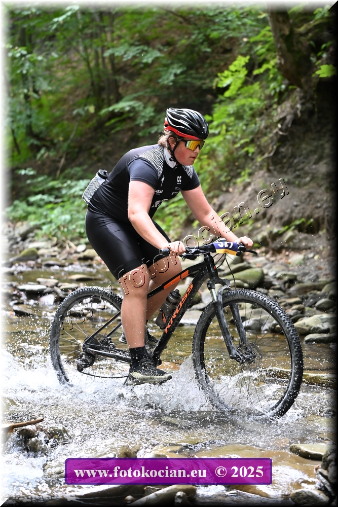 Náhled obrázku: 2025-1637-Celadna-327,0.JPG