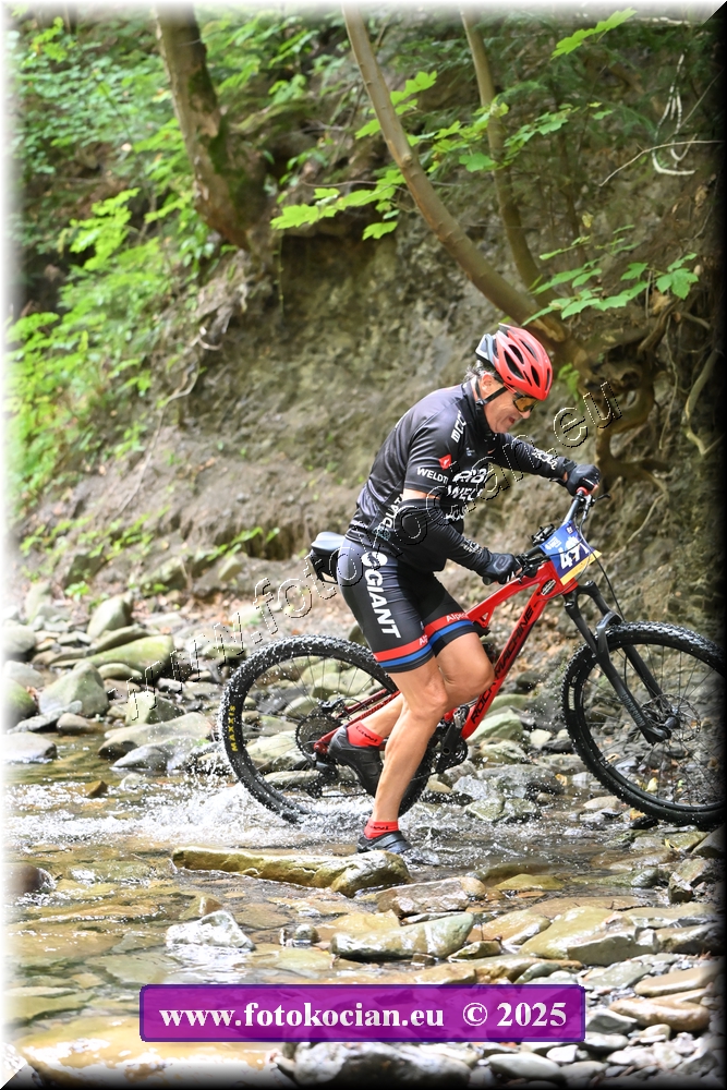 Náhled obrázku: 2025-1644-Celadna-491.JPG