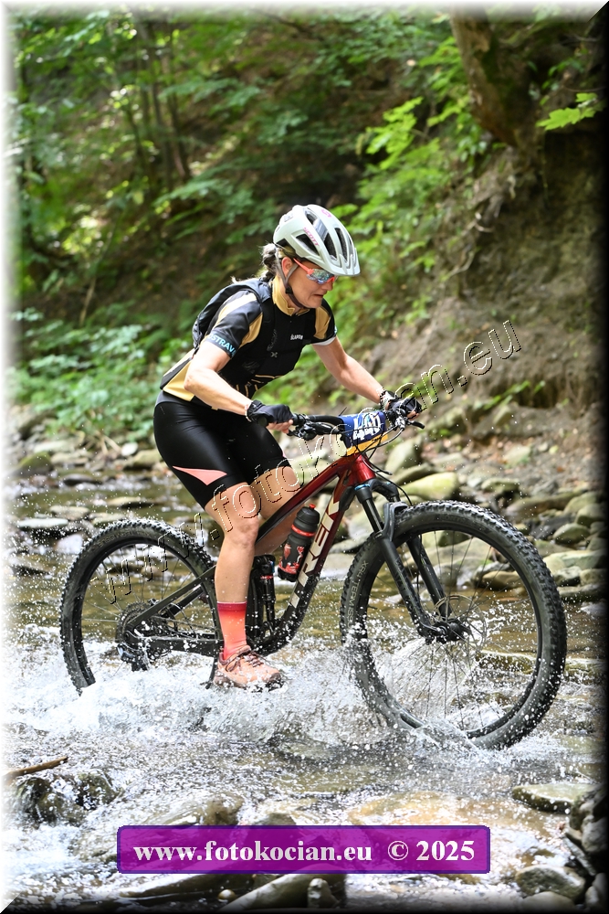 Náhled obrázku: 2025-1649-Celadna-440.JPG