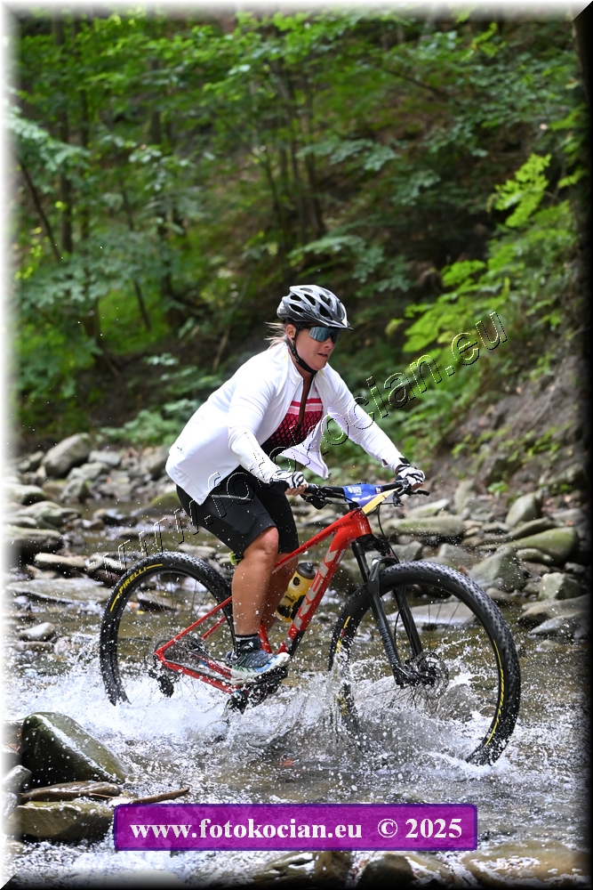 Náhled obrázku: 2025-1652-Celadna-0.JPG