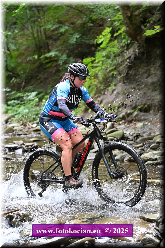 Náhled obrázku: 2025-1660-Celadna-0.JPG