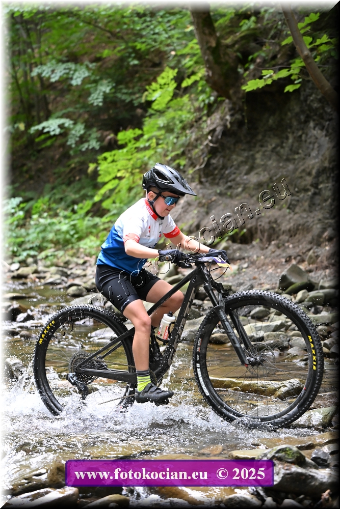 Náhled obrázku: 2025-1675-Celadna-0.JPG